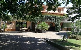 Guesthouse Skofije Ob Parenzani